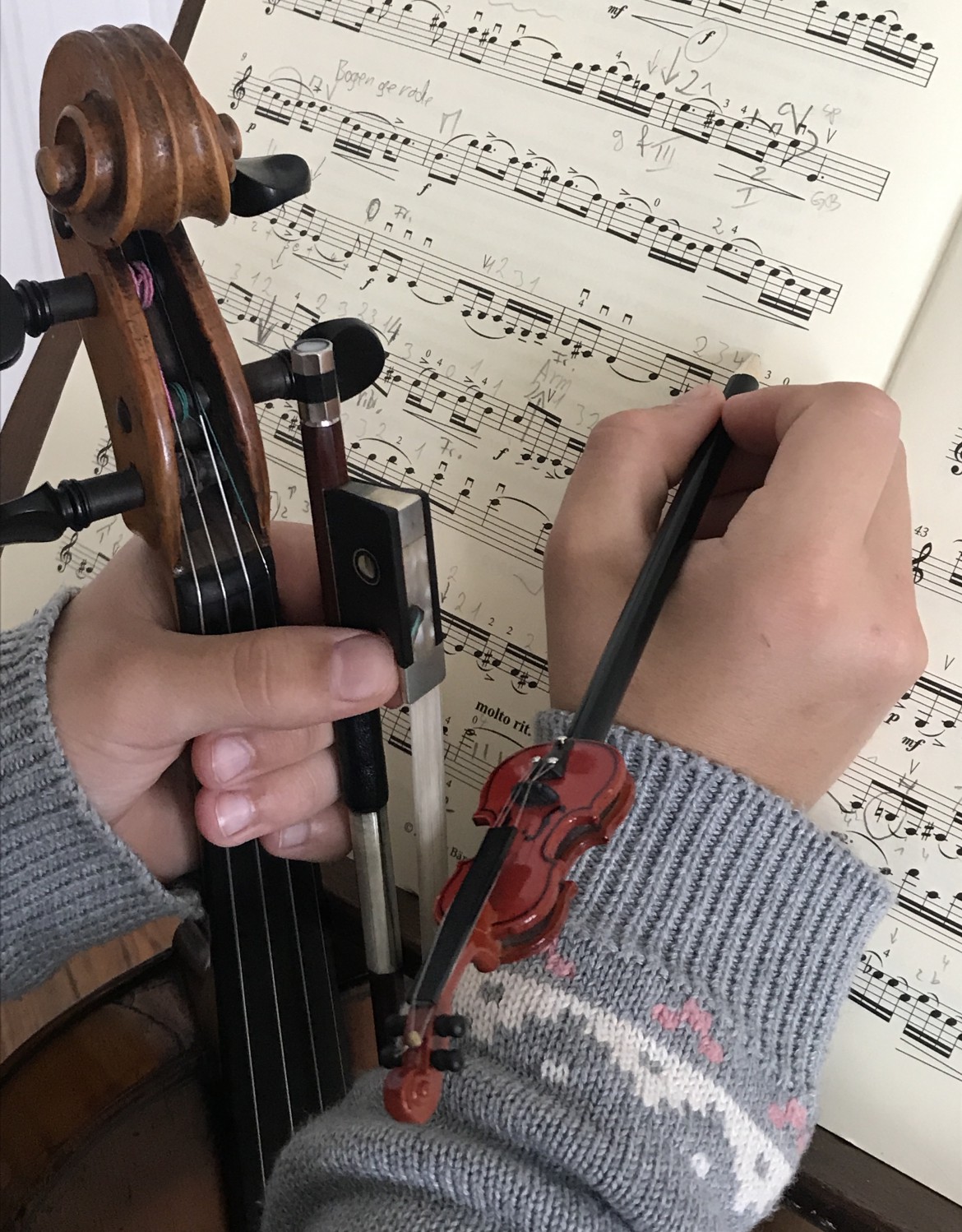 Foto-©-Katharina-Apostolidis-©-Noten-Oskar-Rieding-Konzert-a-moll-op.21-in-ungar.-Weise-Bärenreiter-Verlag-Kurt-Sassmannshaus-Ed.-BA-8973.jpg