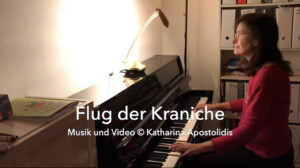 Flug der Kraniche, copyright Musik und Video: Katharina Apostolidis, Der unerlaubten Nutzung dieses Bildes ohne meine schriftliche Einwilligung wird hiermit widersprochen. Ich behalte mir ausdrücklich rechtliche Schritte für diesen Fall vor.